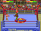 Champion Wrestler (Japan)